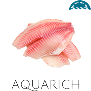 Tilapia Fillet