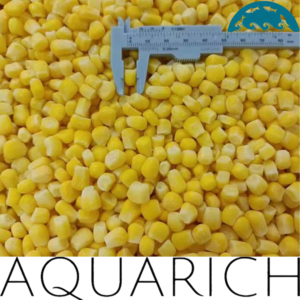 Frozen Sweet corn kernels